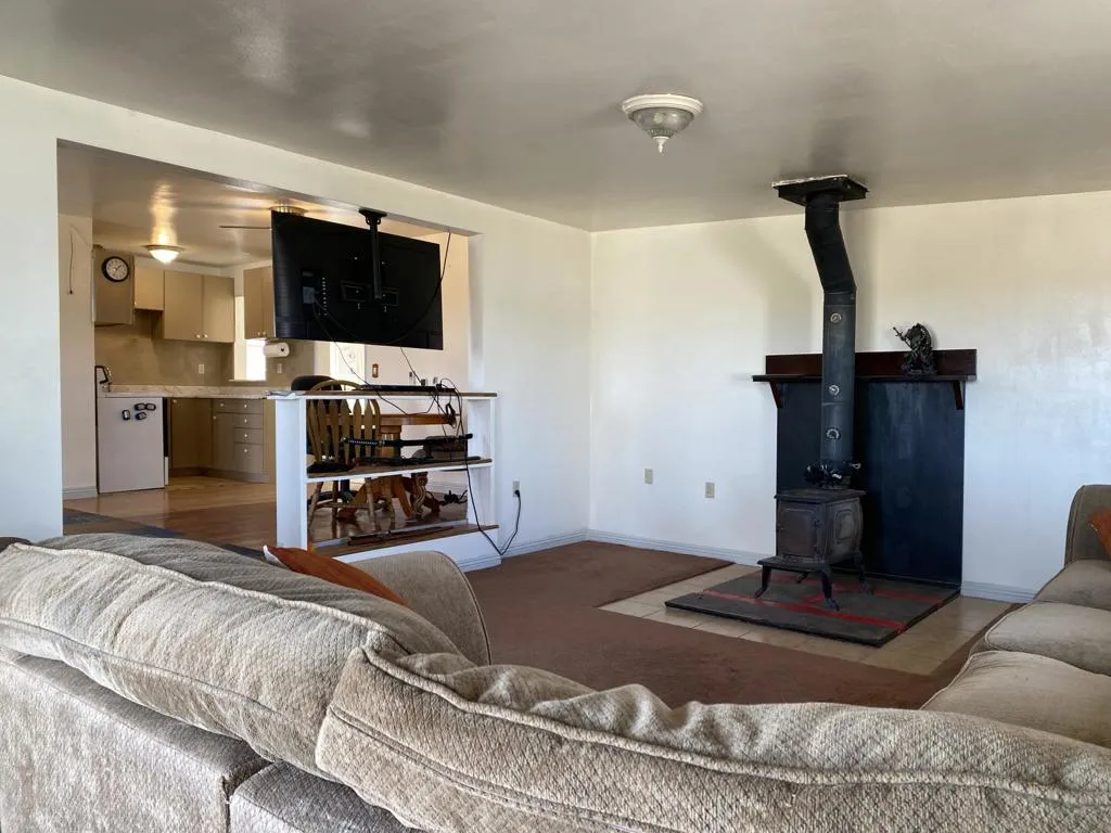 52020 Joshua Tree Road, Johnson Valley, California 92285 home-pic-15
