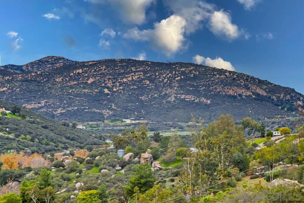 1478 Peutz Valley Rd, Alpine, California 91901 home-pic-60