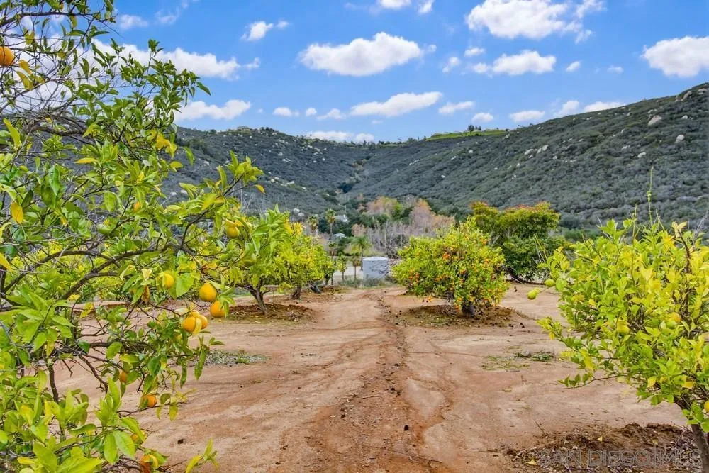 1478 Peutz Valley Rd, Alpine, California 91901 home-pic-29