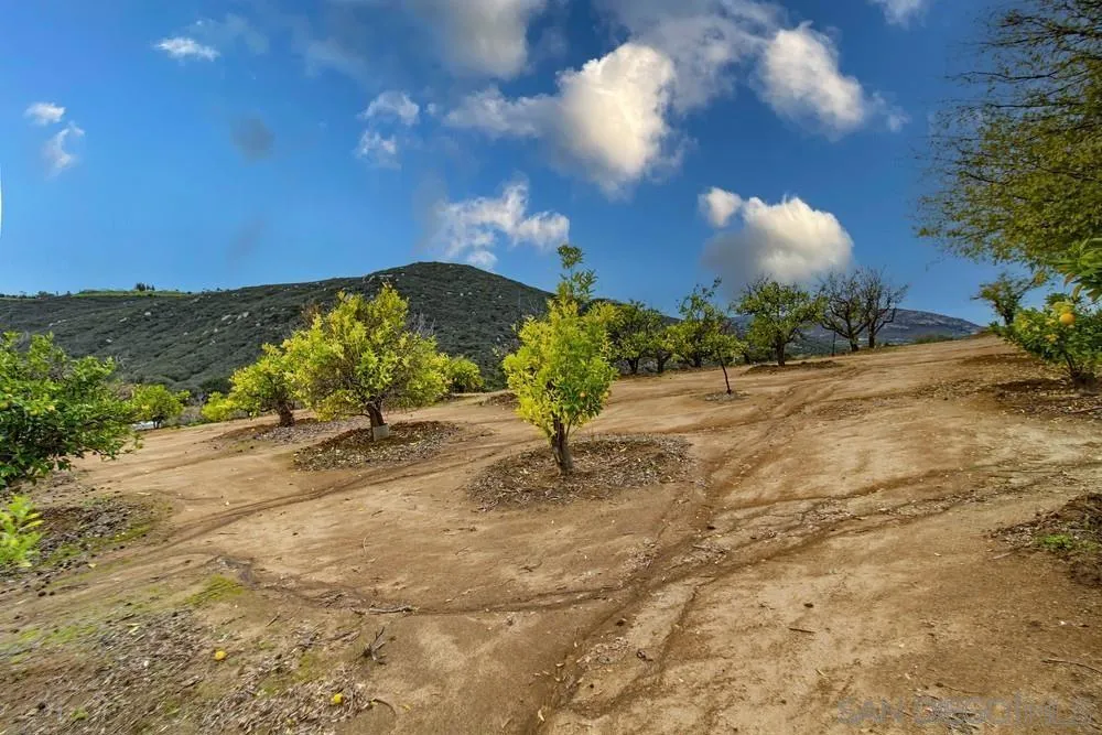 1478 Peutz Valley Rd, Alpine, California 91901 home-pic-48