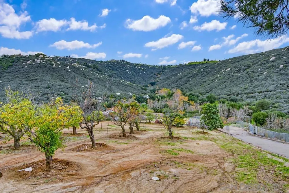 1478 Peutz Valley Rd, Alpine, California 91901 home-pic-30