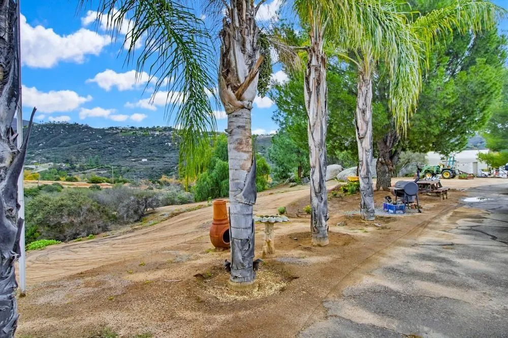 1478 Peutz Valley Rd, Alpine, California 91901 home-pic-23