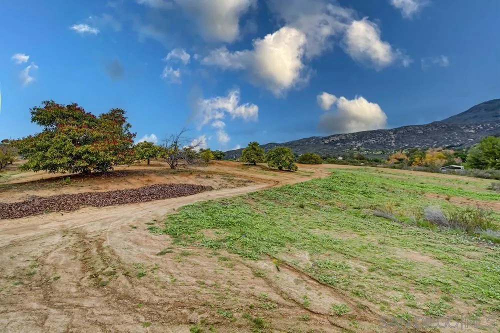 1478 Peutz Valley Rd, Alpine, California 91901 home-pic-62