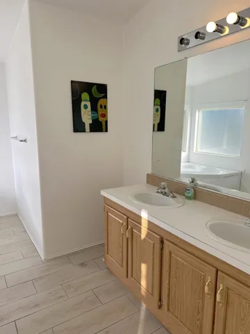 double vanity sink