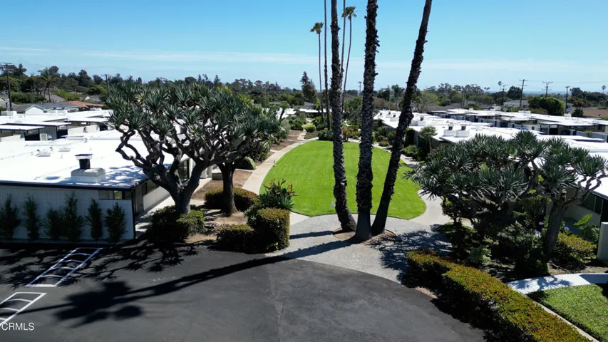 Center Green Belt