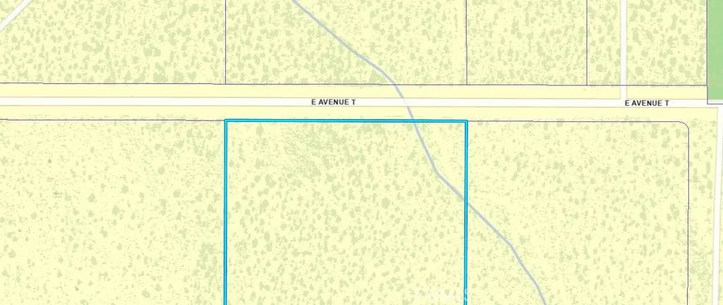 19 Avenue T, Sun Village, California 93543 — photo 4