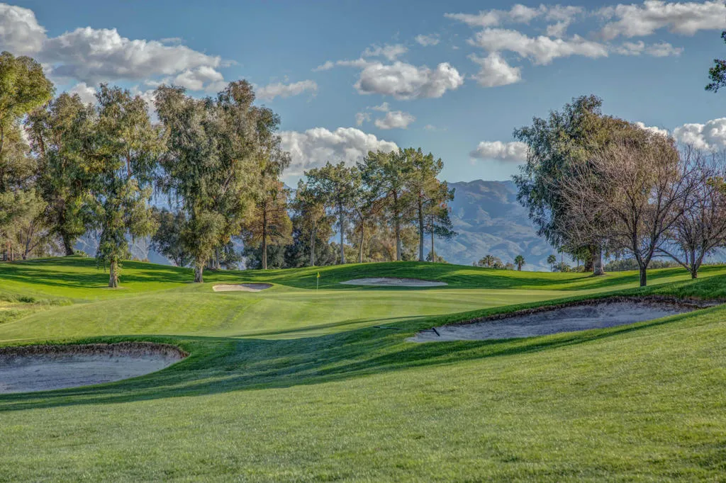 223 Desert Falls Drive E, Palm Desert, California 92211 home-pic-40