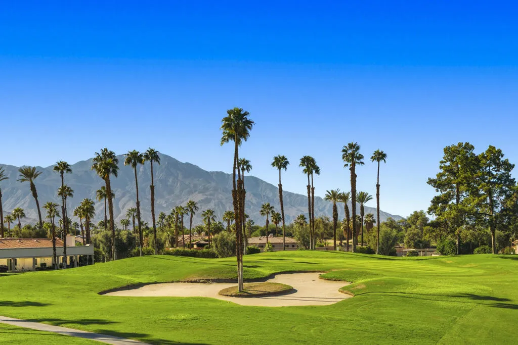 223 Desert Falls Drive E, Palm Desert, California 92211 home-pic-43