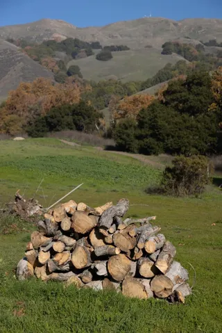 Another meadow view with Ed Levin County park in the background.