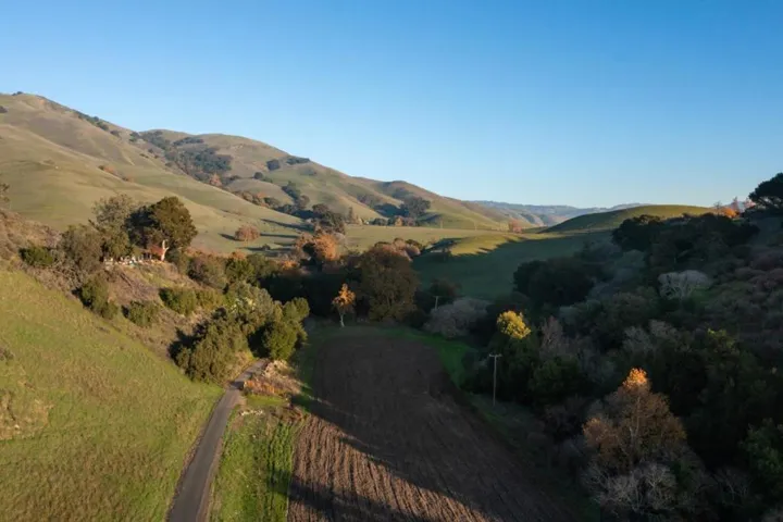 A view of the long driveway heading to the back portion of the property. Another meadow also.