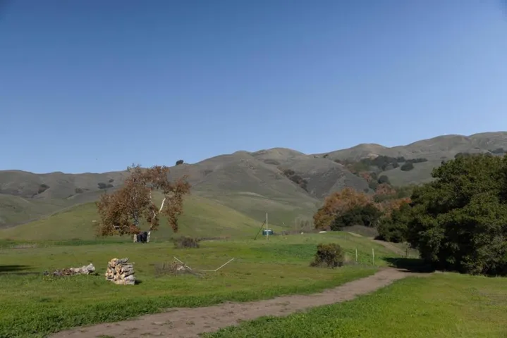 A view of one of the meadows.
