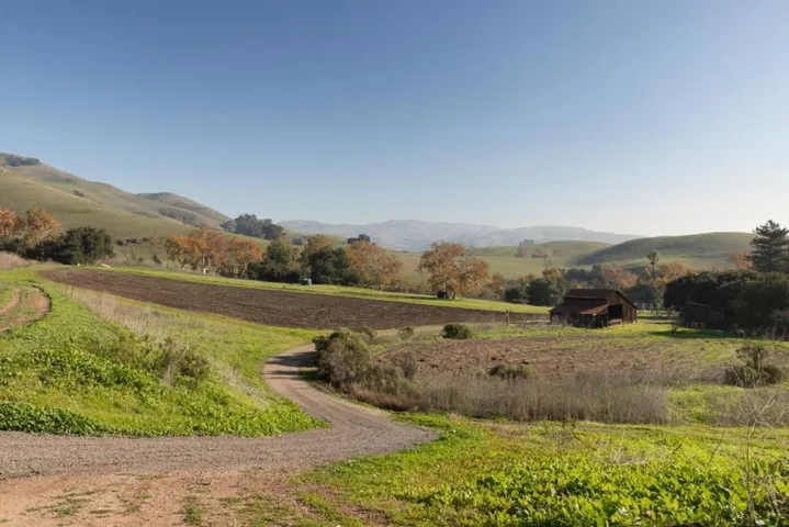 Another meadow view with one of the barns in the distance.
