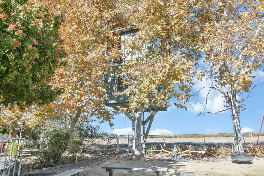 23751 Marsh Creek Rd, Brentwood, California 94513 home-pic-38