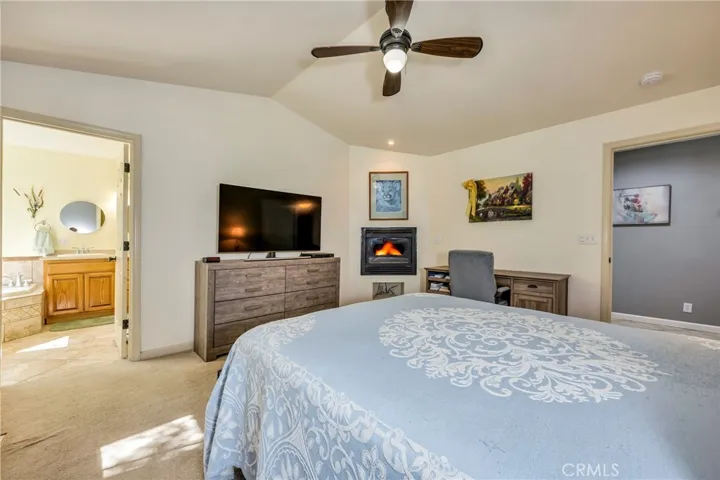 Primary bedroom, fireplace