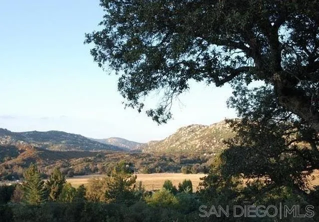 9502 Elm Drive, Descanso, California 91916 home-pic-1