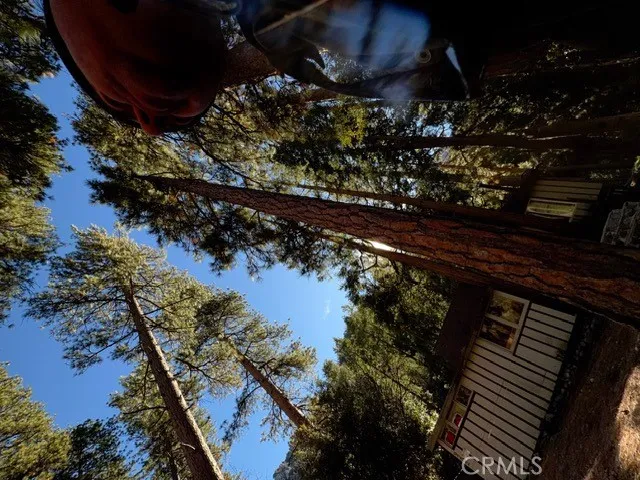 9202 Wood, Forest Falls, California 92339 home-pic-3