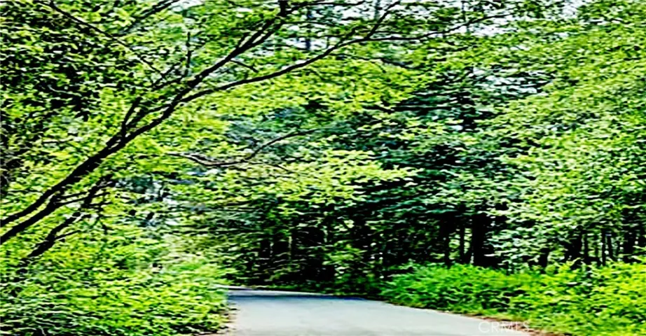 Street in Back of lot