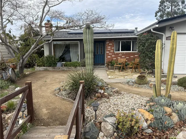 Drought Tolerant Mature Landscape