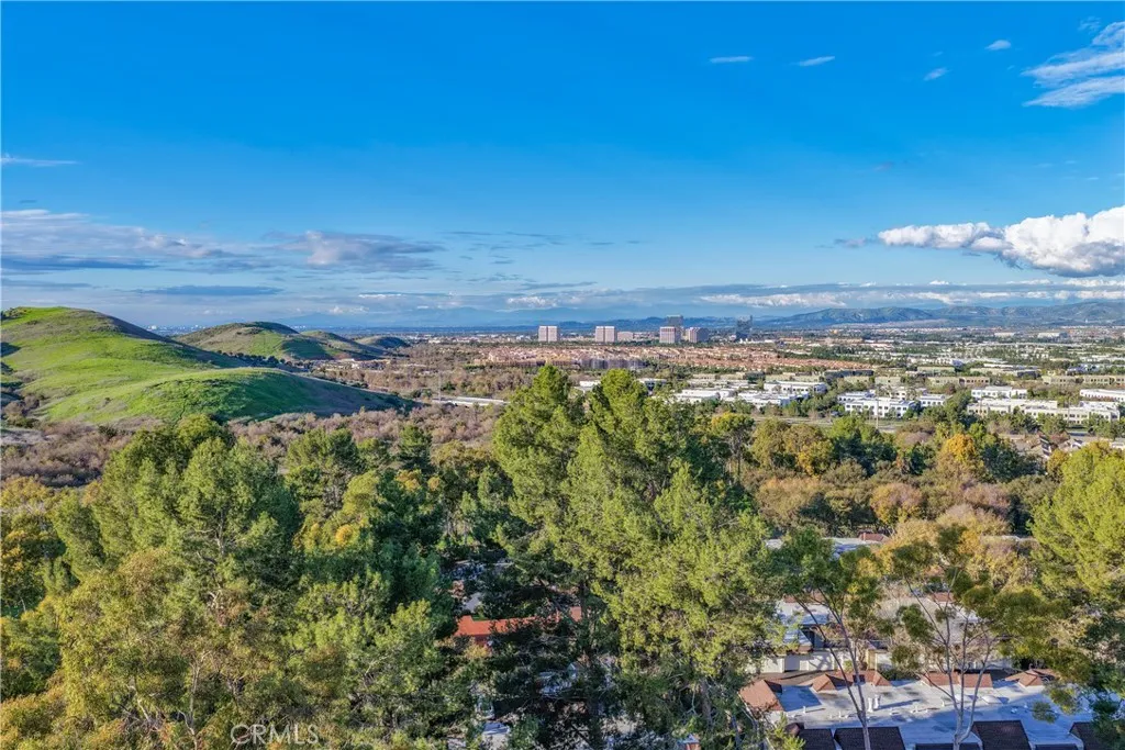 22256 Caminito Mescalero, Laguna Hills, California 92653 home-pic-19