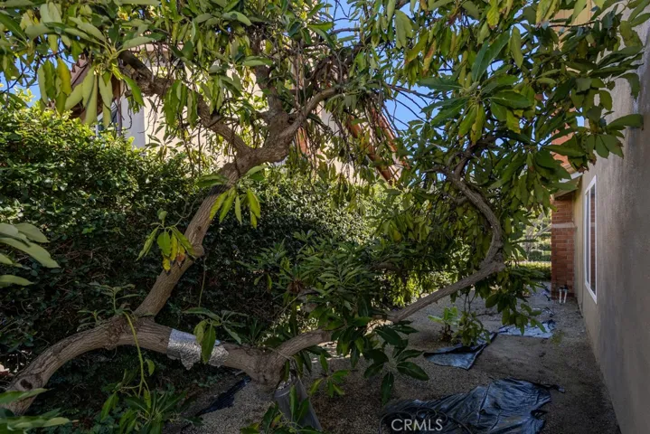 6683 E Leafwood, Anaheim Hills, California 92807