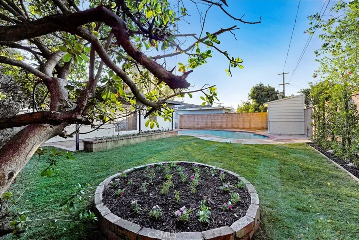 Grassy back yard with Pool