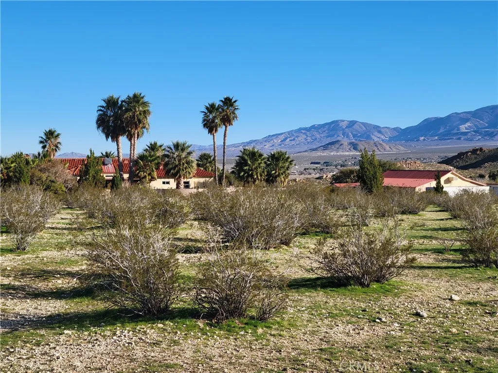 Standing on the property looking southeast. The adjacent ranch was listed for sale for $1,675,0000.
