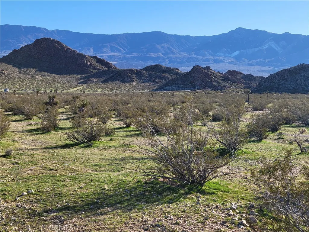 View to the south from the property.