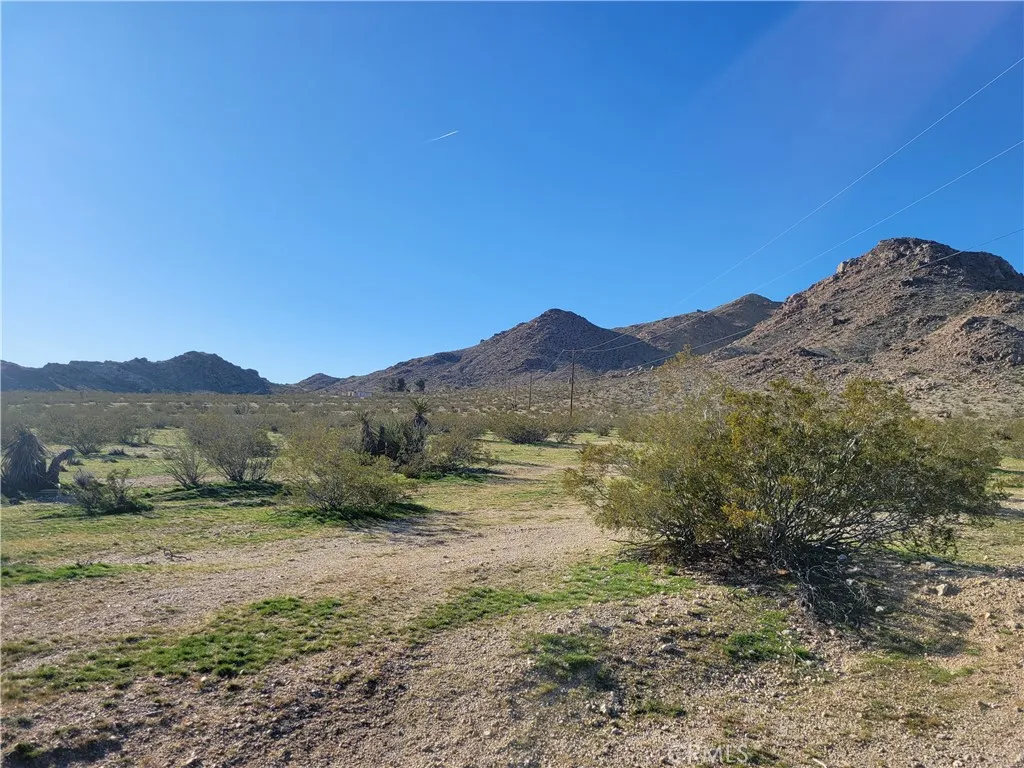 Looking west on the property towards the back where the powerlines are located.