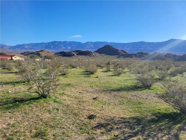 Standing on the property looking southeast.
