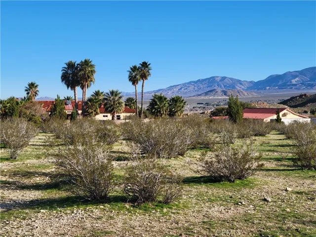Standing on the property looking southeast. The adjacent ranch was listed for sale for $1,675,0000.