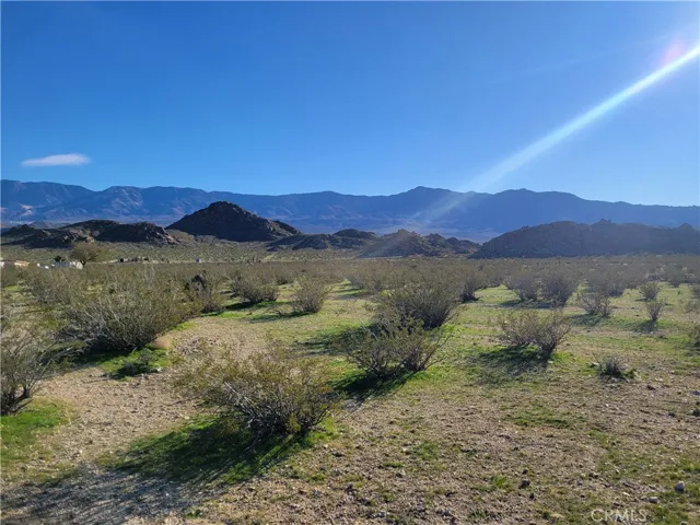 View to the south.