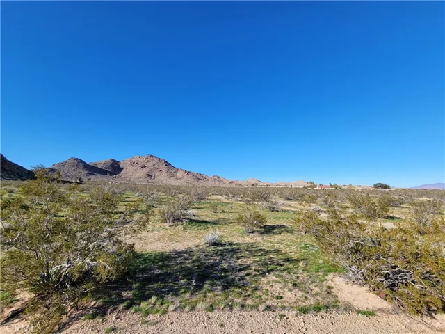 View of the front from Rabbit Springs Rd