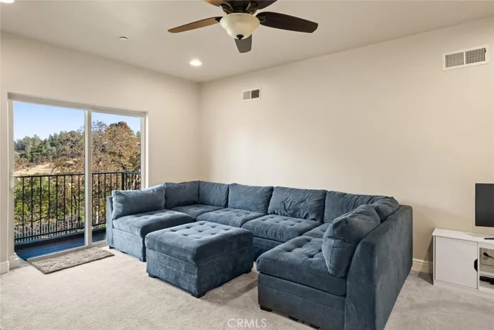 Second lower level guest bedroom