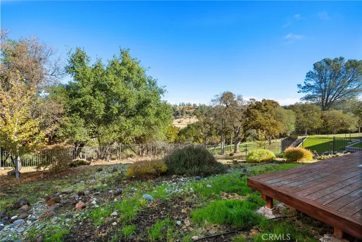 Landscaped back yard