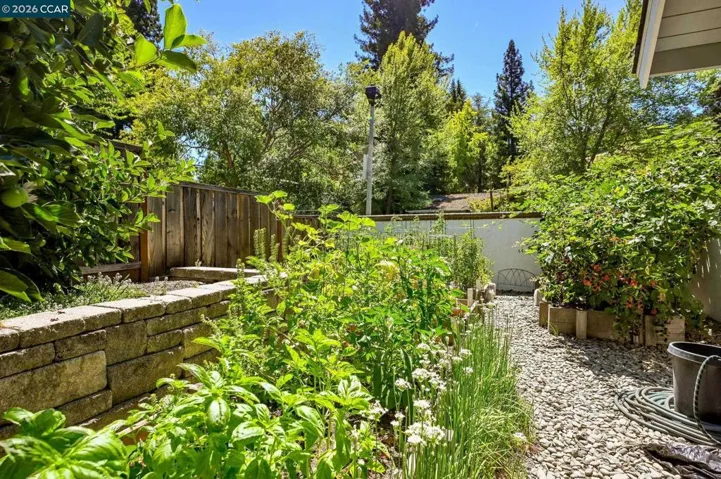 1023 White Gate Rd, Alamo, California 94507