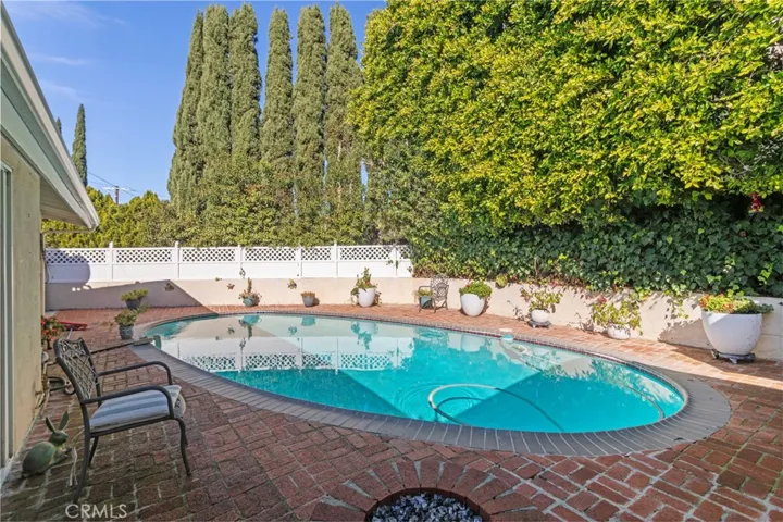 Pool/Patio Area - features robotic pool vacuum, low-maintenance coping/patio, built-in gas fire pit, and manicured mature ficus trees that provide privacy screening.
