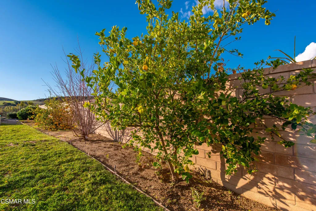 153 Sequoia Avenue, Simi Valley, California 93065 home-pic-66