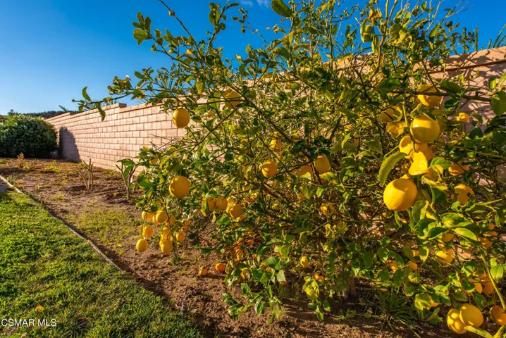 153 Sequoia Ave Simi Valley-70