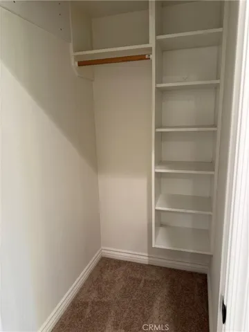 primary bedroom w walk-in closet