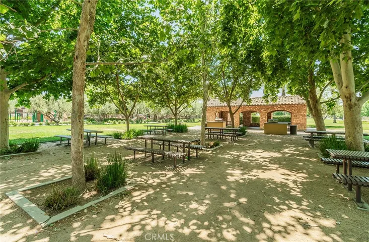 BBQ and picnic area