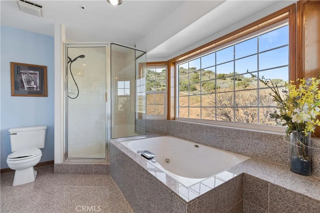 5419 Clanfield, Acton, California 93510 home-pic-45