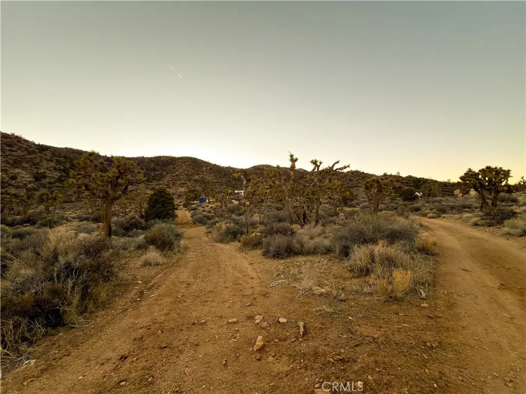 20 driveway fork, left to storage yard, right to cabin