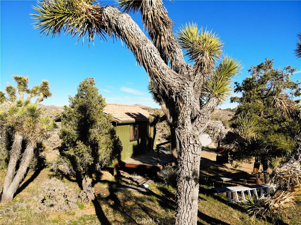 Cabin on 20 Acre Parcel