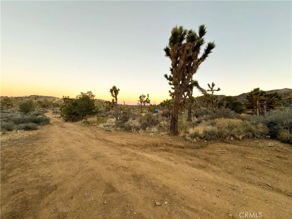 20 Acre