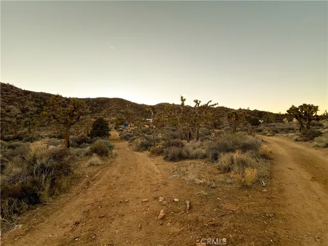 20 driveway fork, left to storage yard, right to cabin