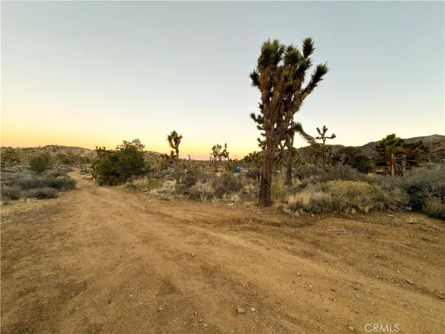 20 Acre