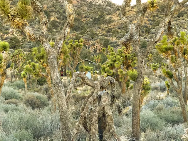 20 Acre