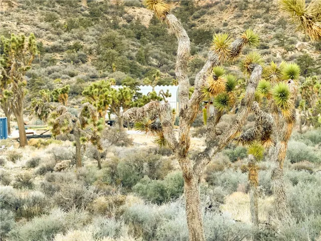 20 Acre