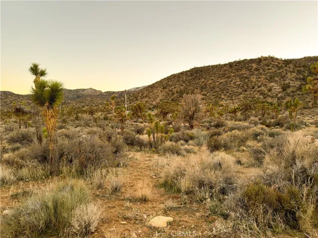 20 Acre