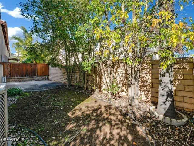 Backyard1